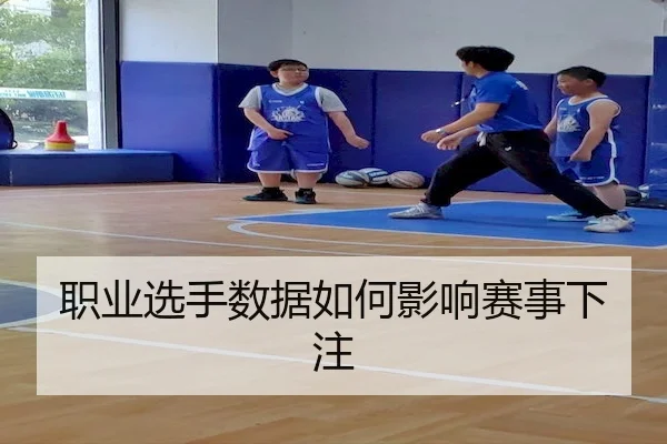 职业选手数据如何影响赛事下注
